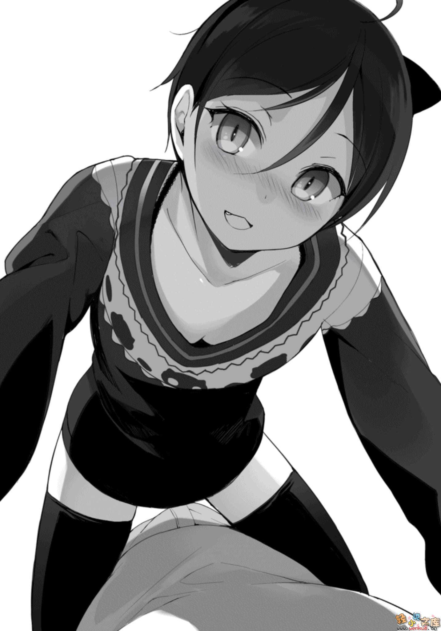 脱衣传小说插图（13）