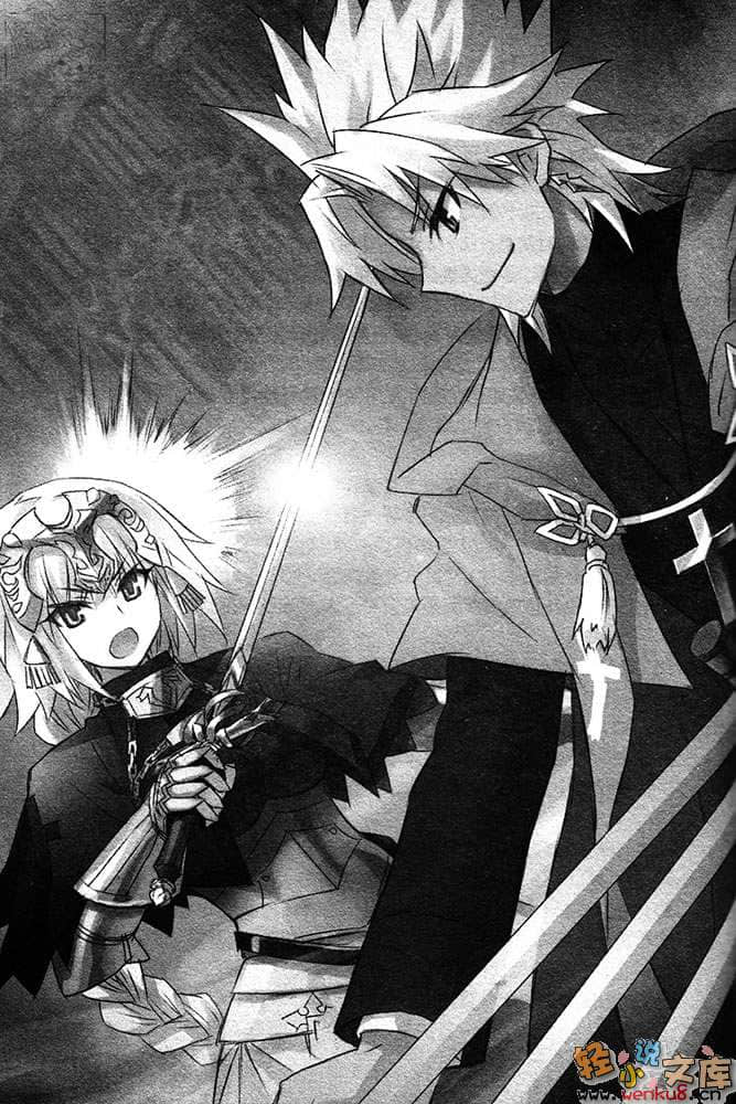 Fate Apocrypha小说插图（26）