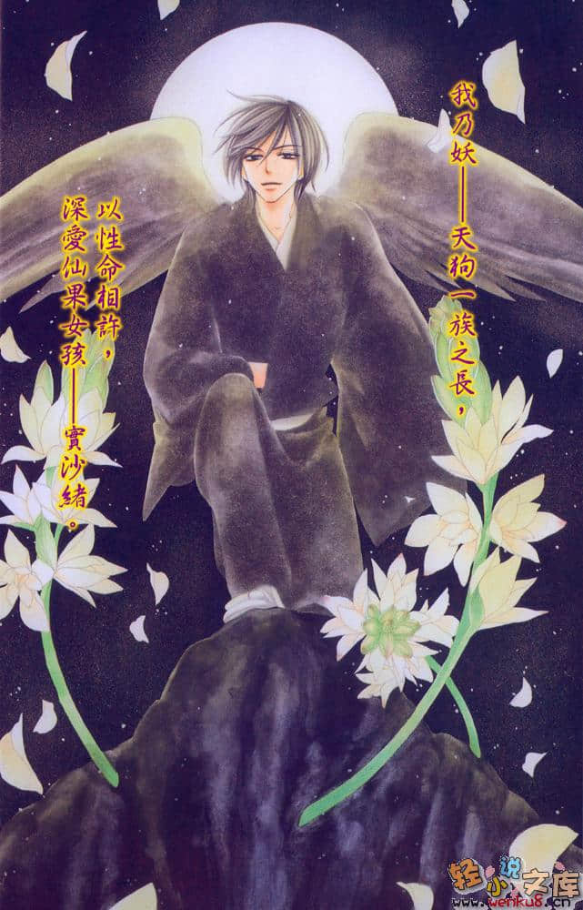 BLACK BIRD 黑鸟恋人小说插图（6）