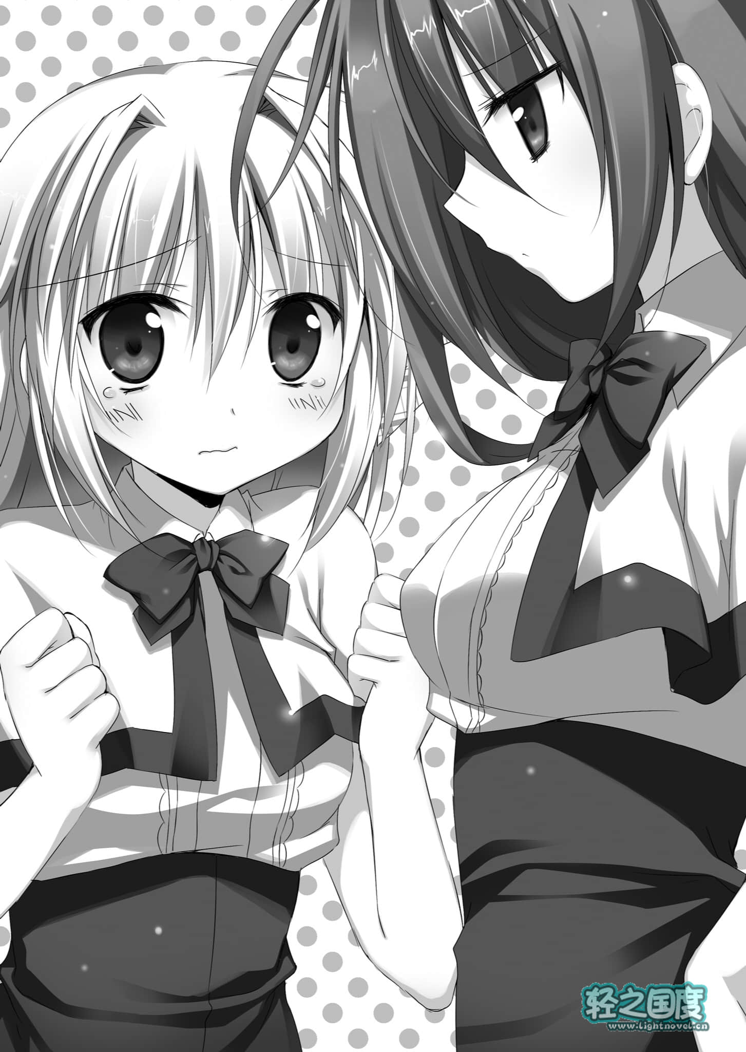 《铳皇无尽的法夫纳》12 Darkness Disaster 插图（12）