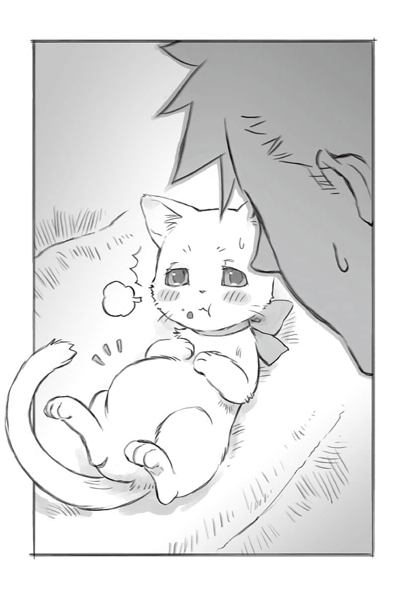 《神猫小咪与猫用品召唤师的异世界奋斗记》1 插图（14）