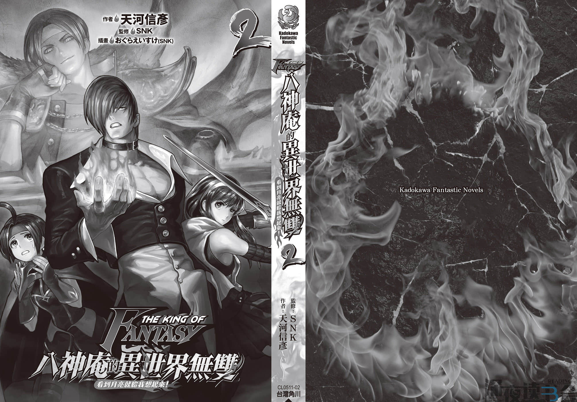 THE KING OF FANTASY 八神庵的异世界无双小说插图（12）