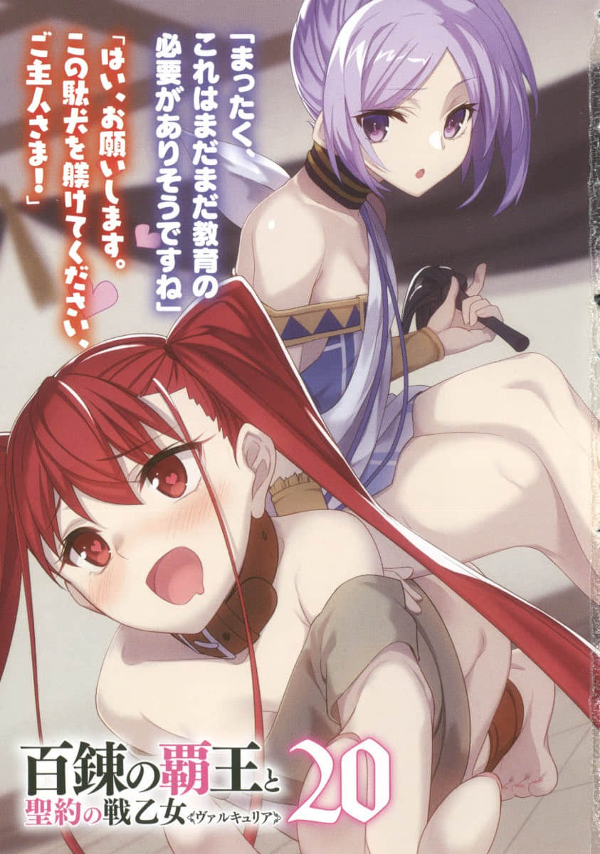 百鍊霸王與聖約女武神小說插圖（302）