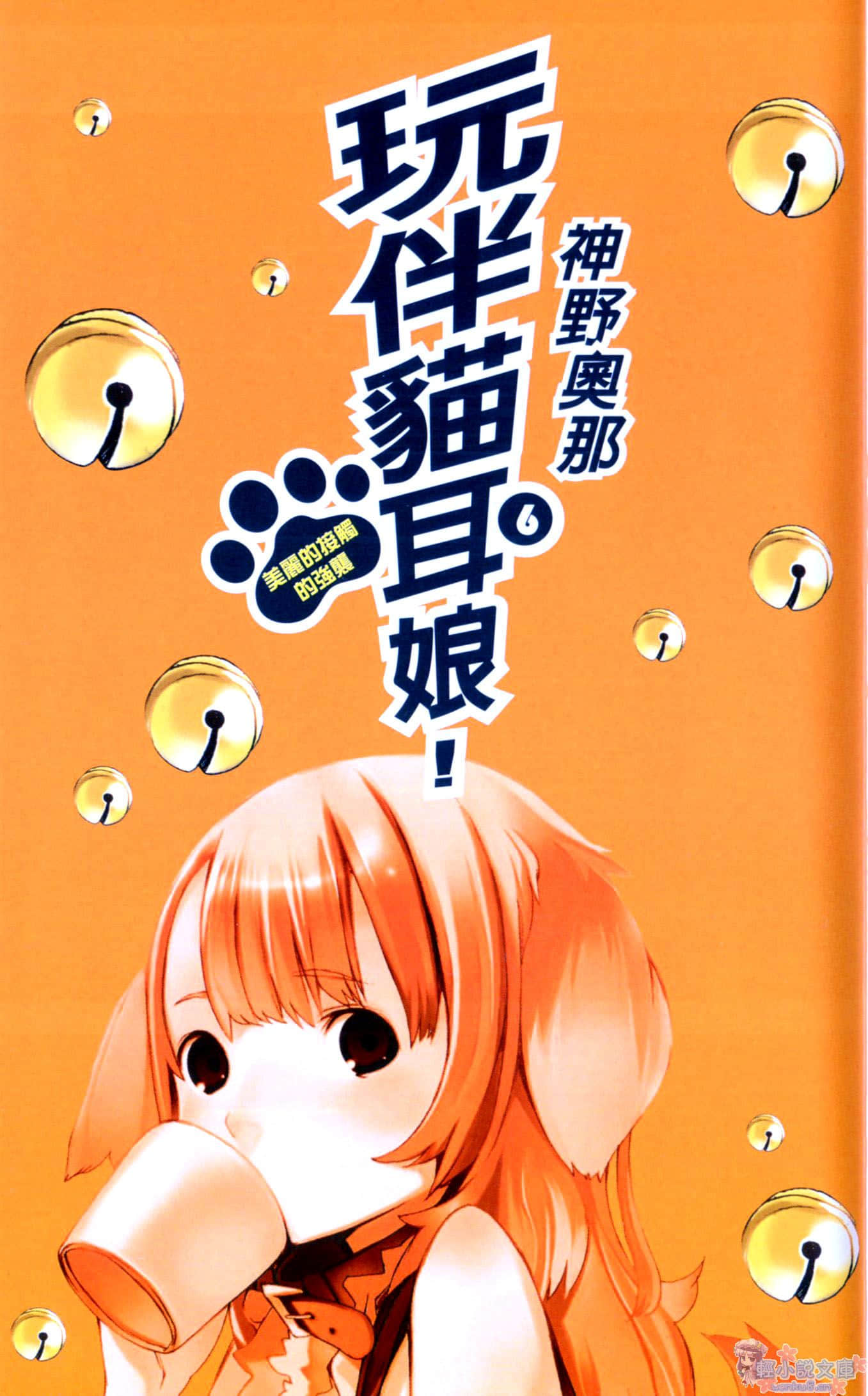 《玩伴猫耳娘》6 美丽的接触的强袭 插图（2）
