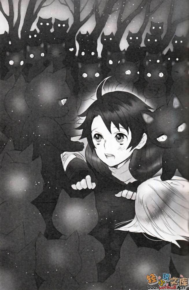 《轮环的魔导师》9 神界之门 插图（11）