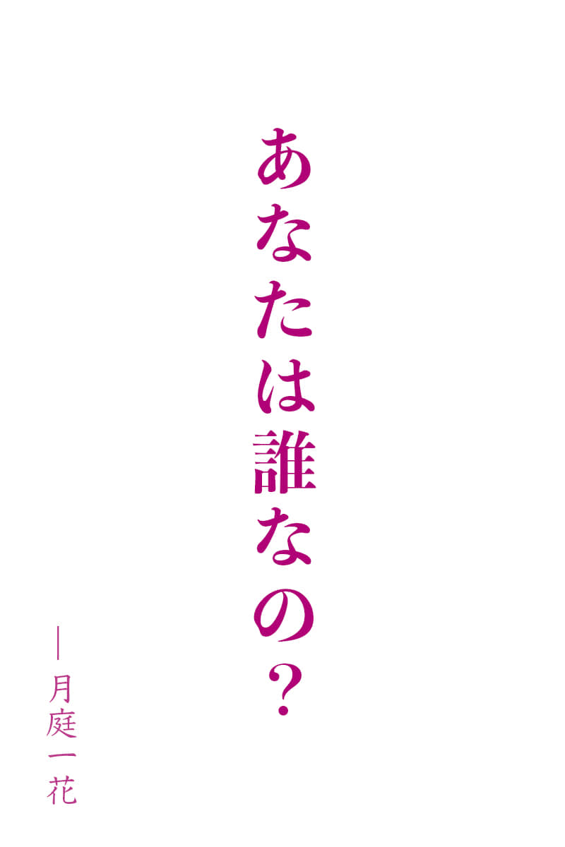 《献给月与海豚的歌》本篇 作品相关插图（1）