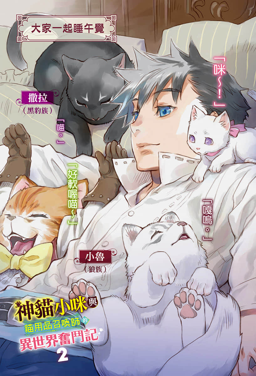 《神猫小咪与猫用品召唤师的异世界奋斗记》2 插图（2）