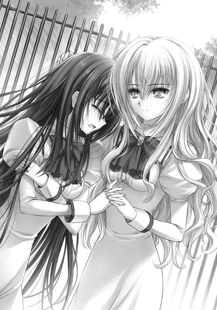 《少女爱上姐姐２》2 隔窗的异乡人 插图（11）