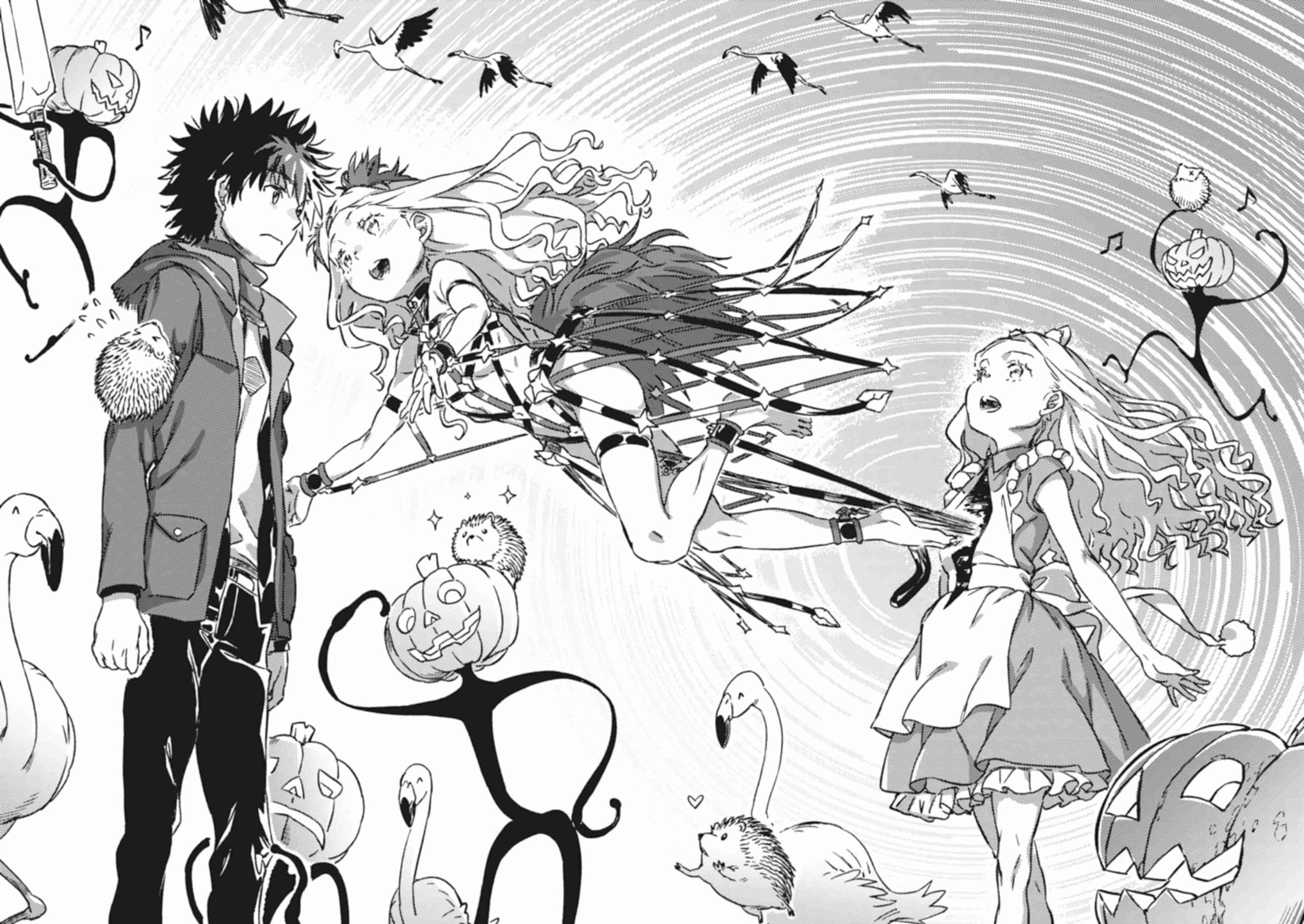 《创约 魔法禁书目录》5 插图（11）