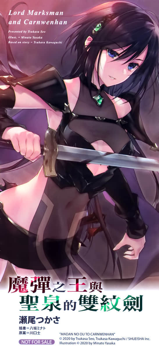 《魔彈之王與聖泉的雙紋劍》2 插圖（18）