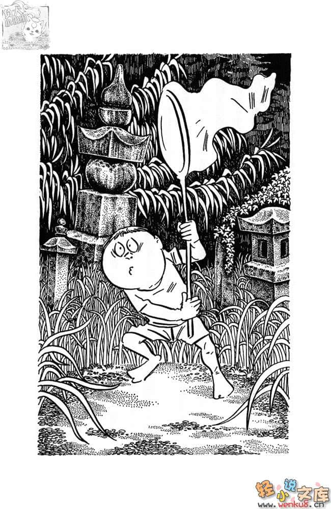 我真的是笨蛋吗？小说插图（4）