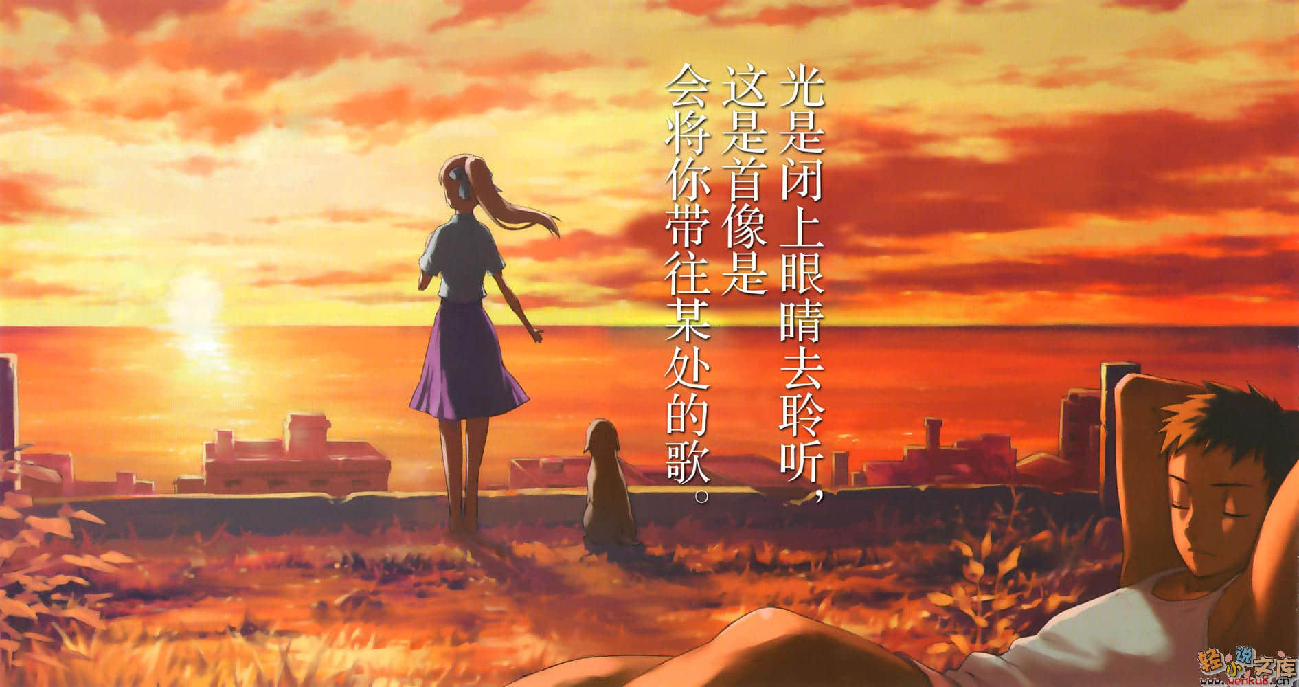 献给某飞行员的夜想曲小说插图（4）