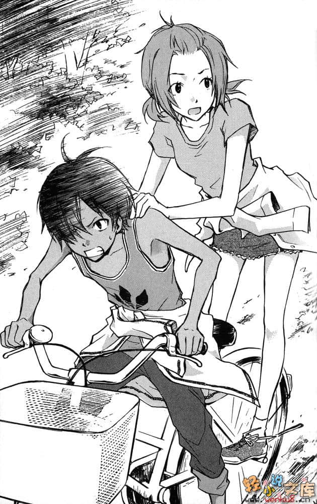 夏日大作战 OZ危机小说插图（5）