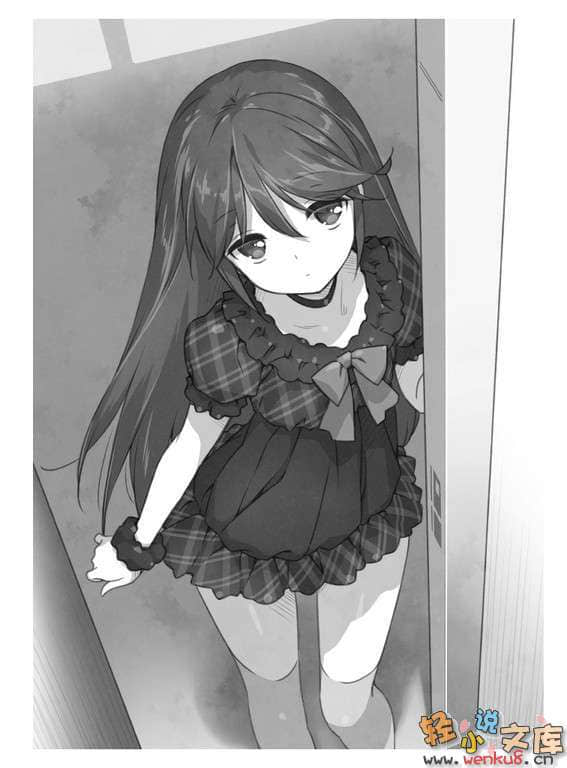 《妹妹攻略我的路线·爱情喜剧理论》2 插图（13）