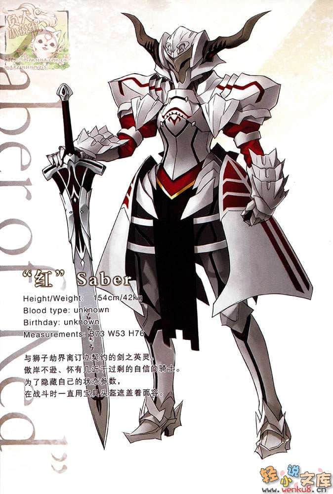 Fate Apocrypha小说插图（41）