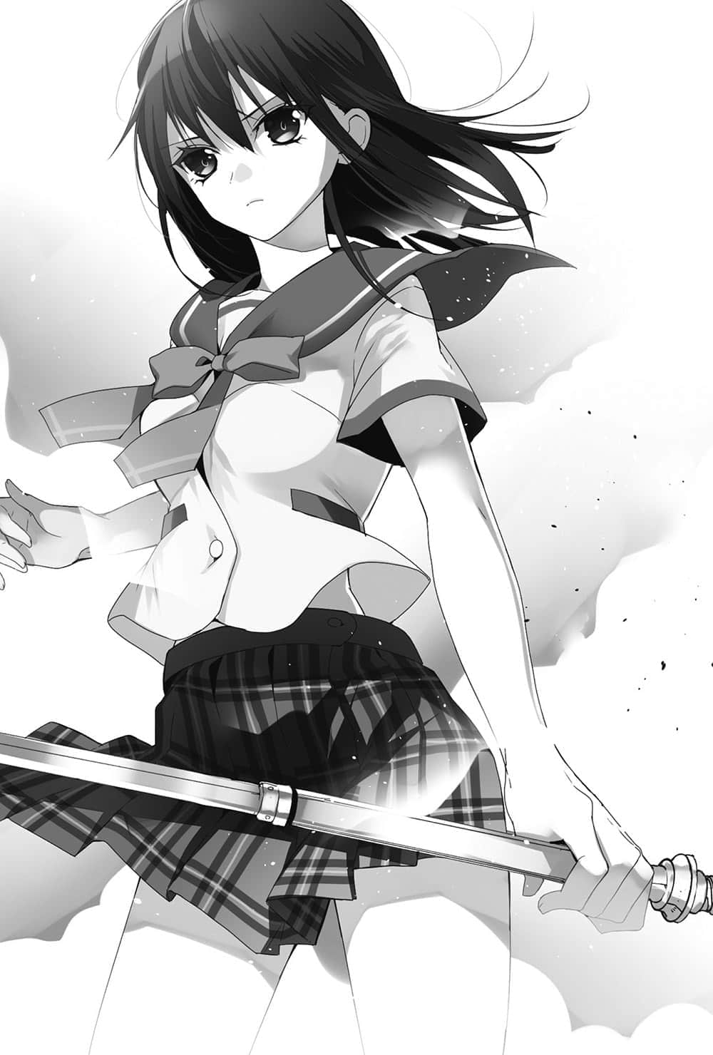 《噬血狂袭 Strike the Blood》14 黄金时光 插图（12）
