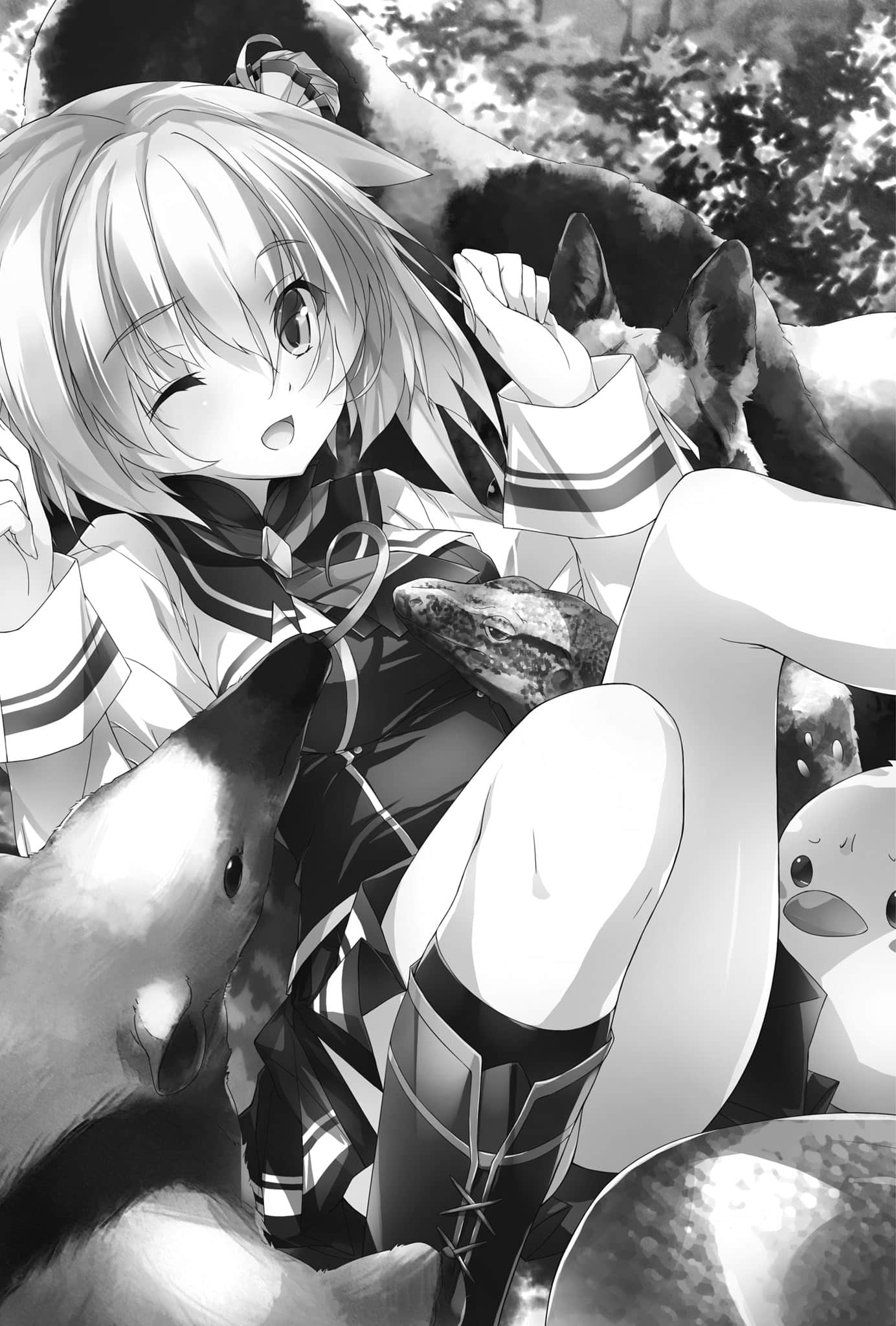 《空战魔导士培训生的教官》14 第三章 好友们的宠物竞赛插图(1)