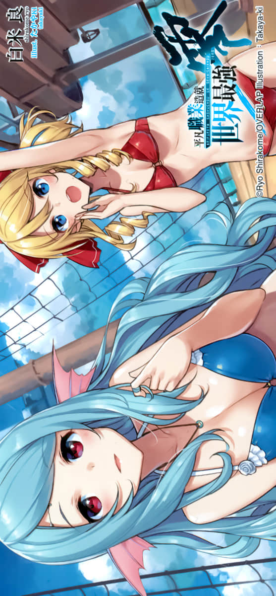 《平凡职业造就世界最强 零》2 插图（17）