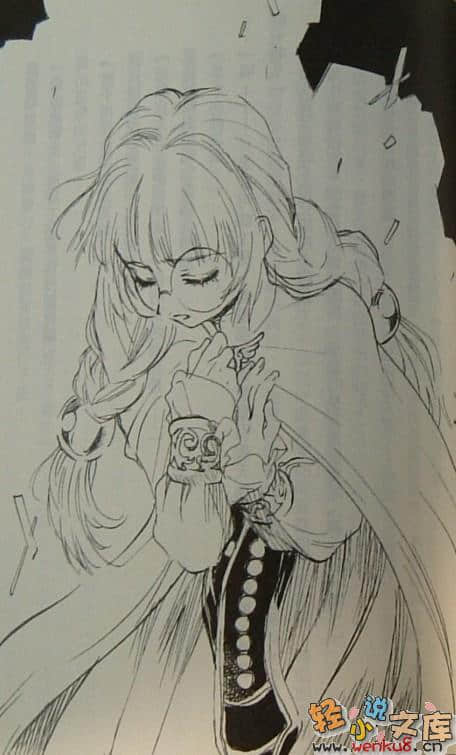 Tales of Destiny 命运传奇 苍黑的思念小说插图（4）