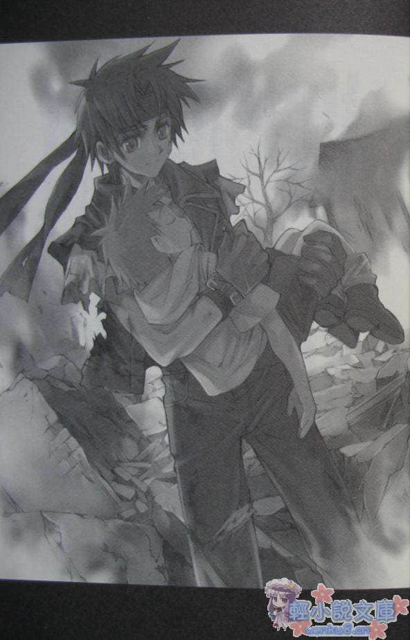狂野历险 Alter code:F小说插图（17）