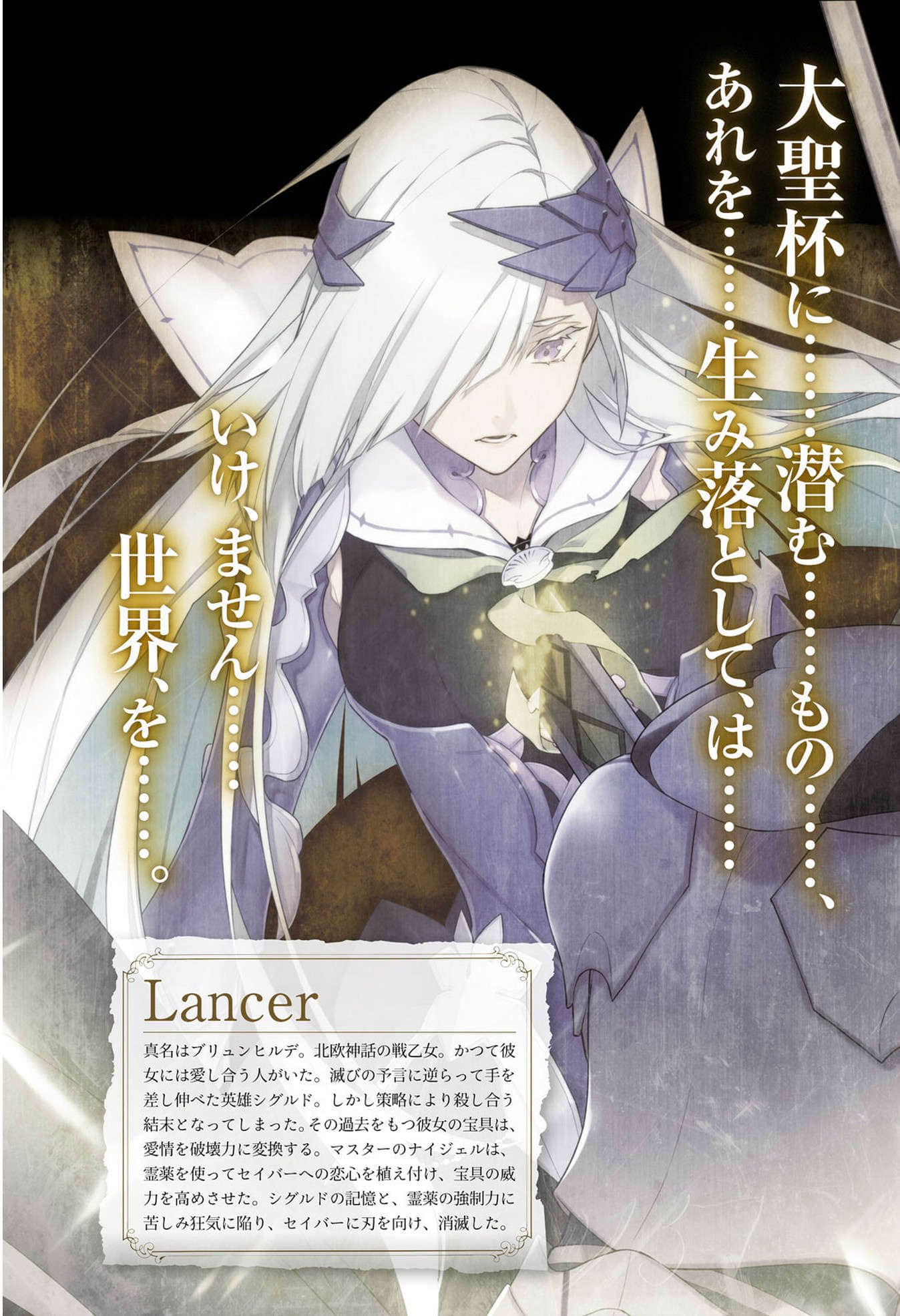 《Fate Prototype 苍银的碎片》5 Knight of Fate 插图（5）