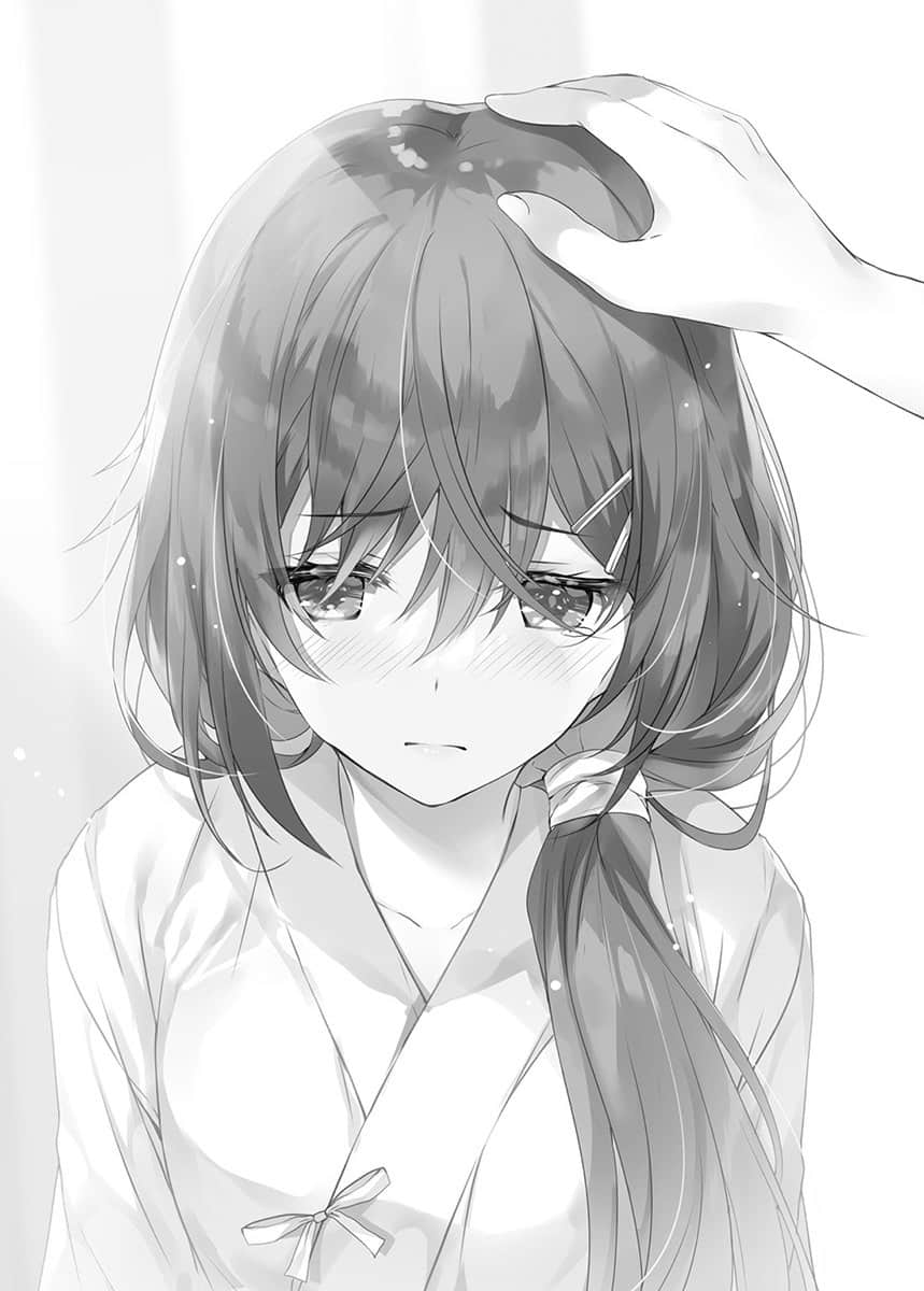 《才女的侍从》3 插图（14）