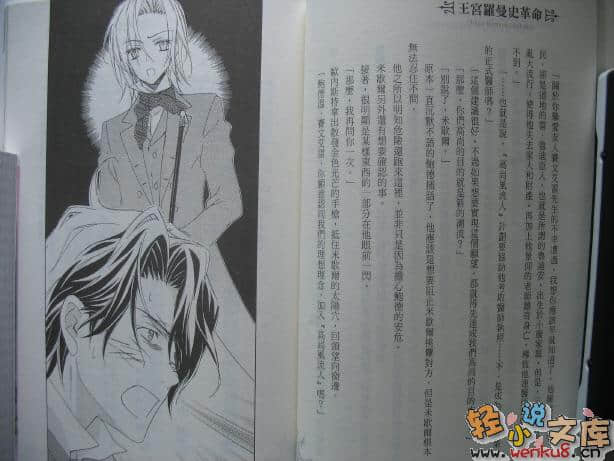 王宫罗曼史革命小说插图（35）
