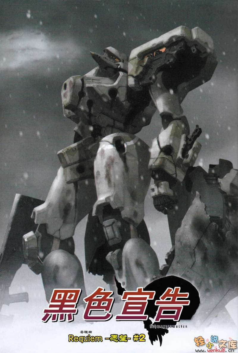《MUV-LUV Schwarzes marken》短篇集Requiem 2 插图（1）