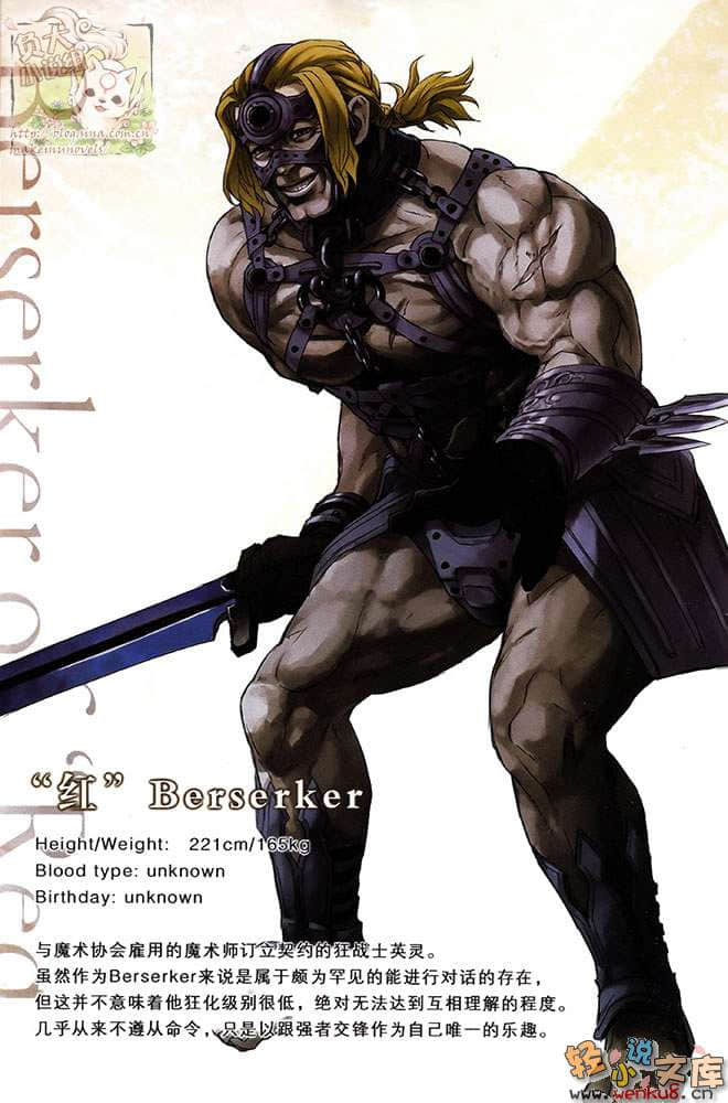 Fate Apocrypha小说插图（35）