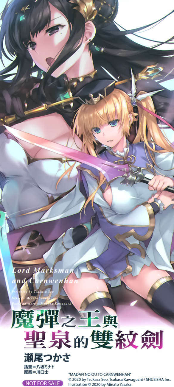 《魔弹之王与圣泉的双纹剑》3 插图（18）