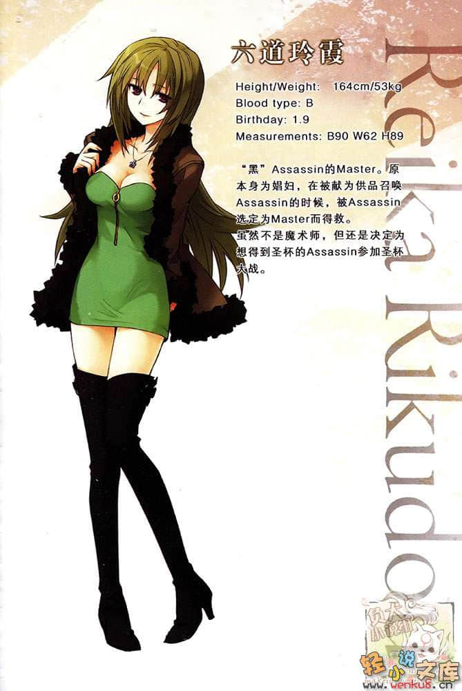 Fate Apocrypha小说插图（44）