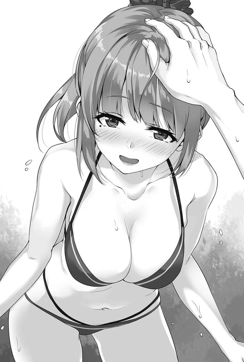 《口是心非的冰室同学 从好感度100％开始的毒舌女子追求法》3 插图（10）
