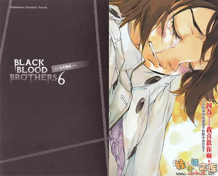 《BLACK BLOOD BROTHERS 黑血兄弟》6 九牙集結 插图（3）