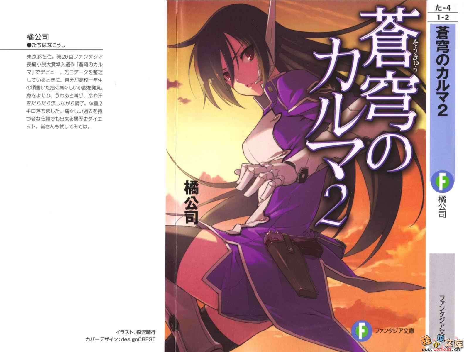 《苍穹女武神》2 插图（1）