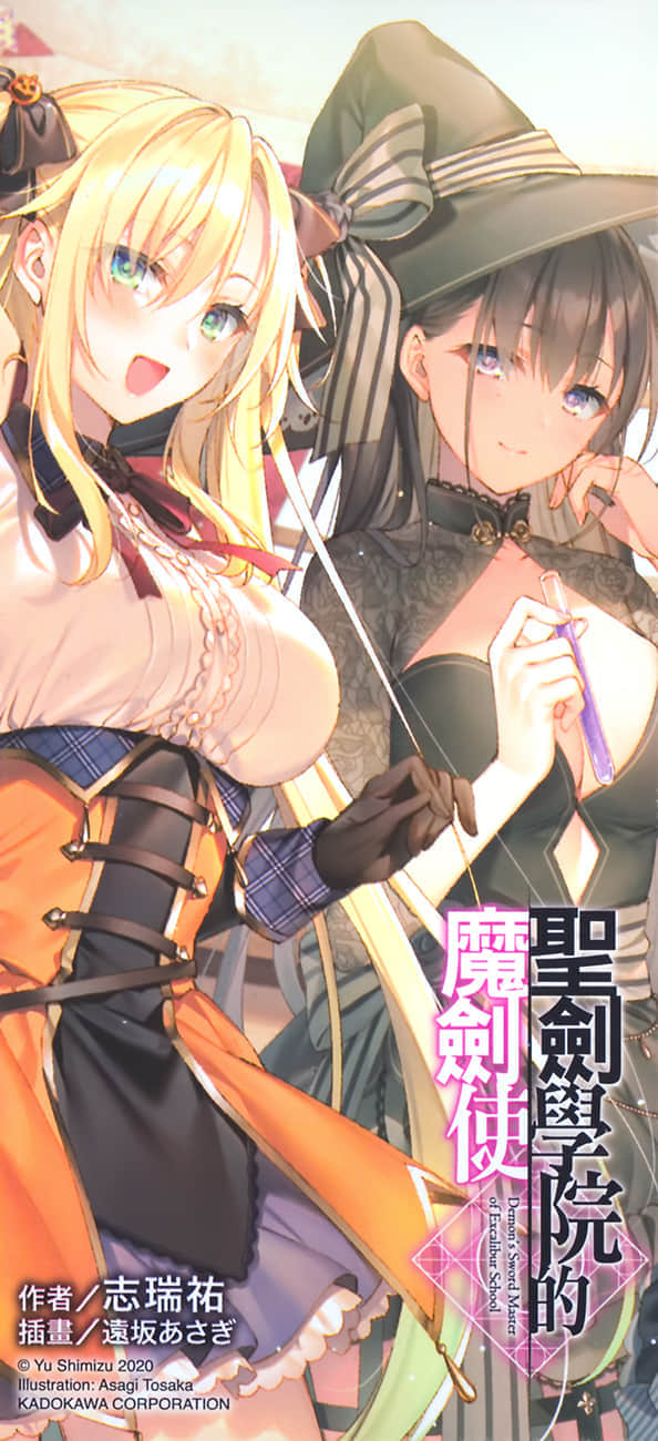 《圣剑学院的魔剑使》4 后记插图（3）