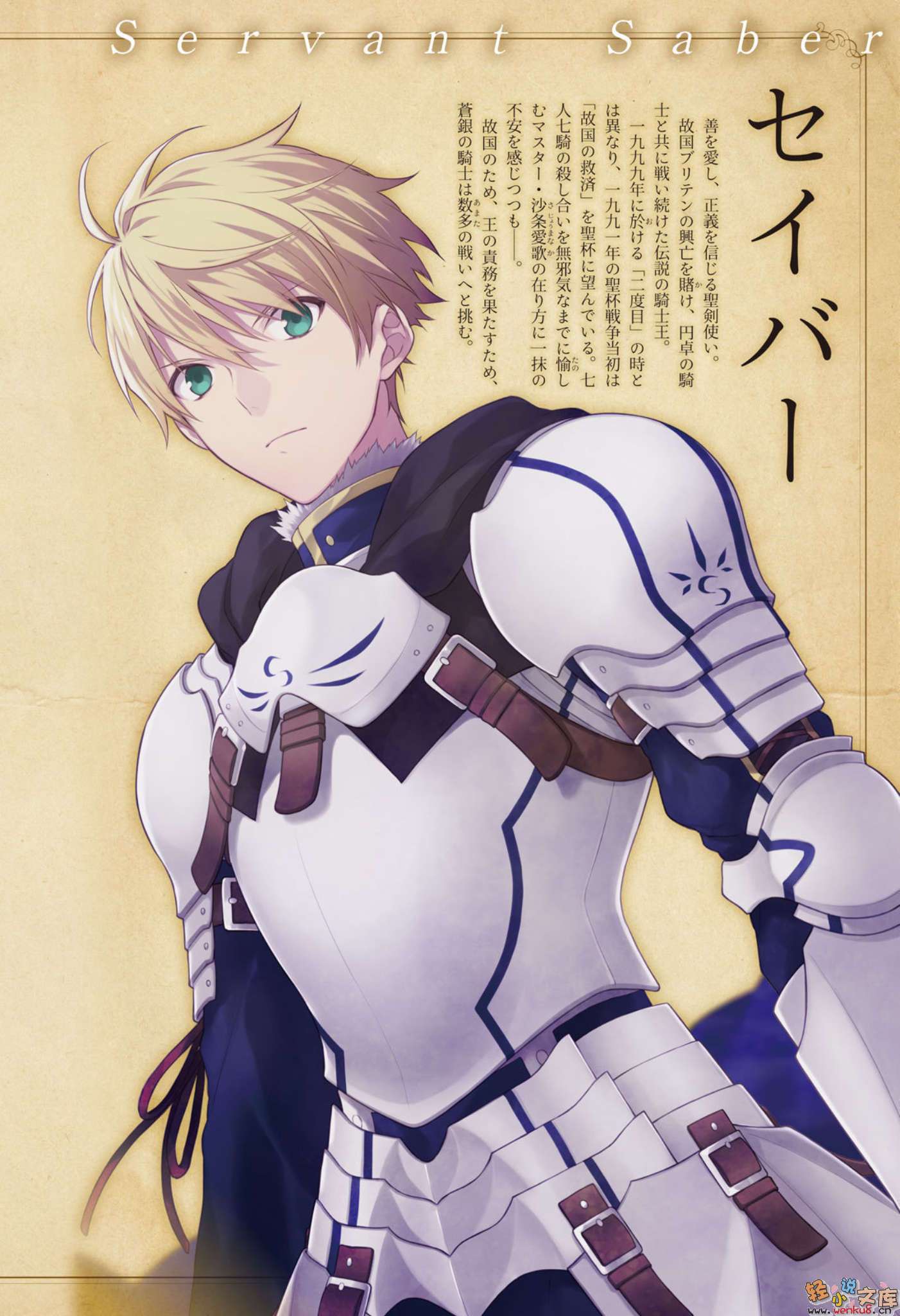 Fate Prototype 苍银的碎片小说插图（42）