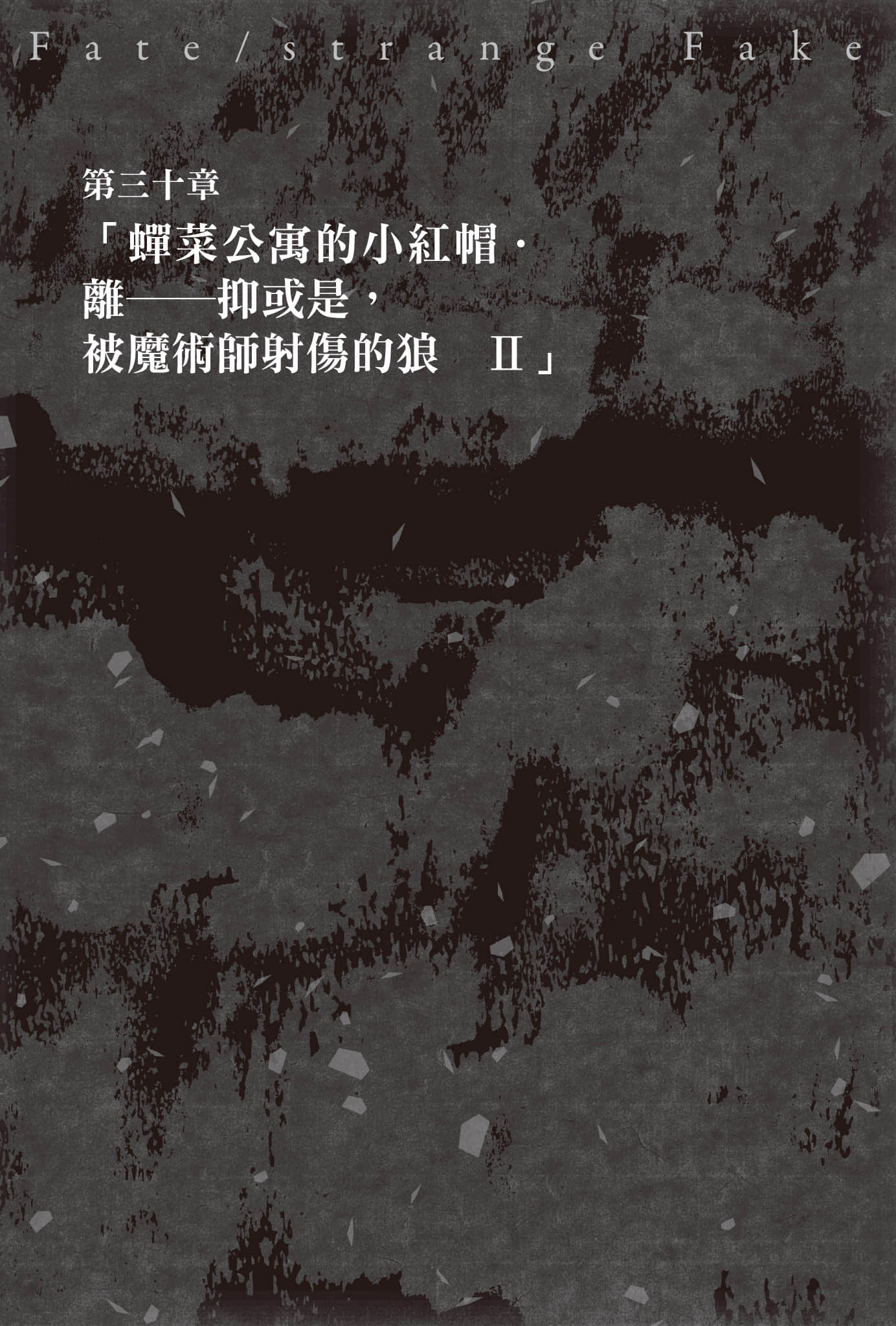 《Fate/Strange Fake》9 第三十章「蝉菜公寓的小红帽•离——抑或是,被魔术师射伤的狼 Ⅱ」插图(1)