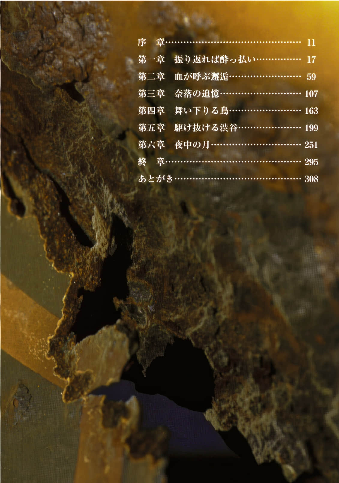 双重血统小说插图（24）