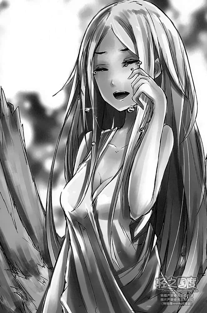 我的怪物眷族小说插图（5）