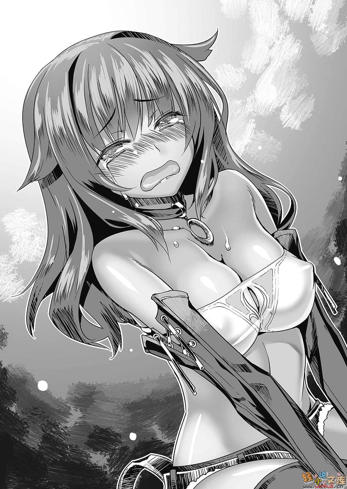 《巴冈特反英雄谭》3 动荡王都的骑士公主 插图（13）