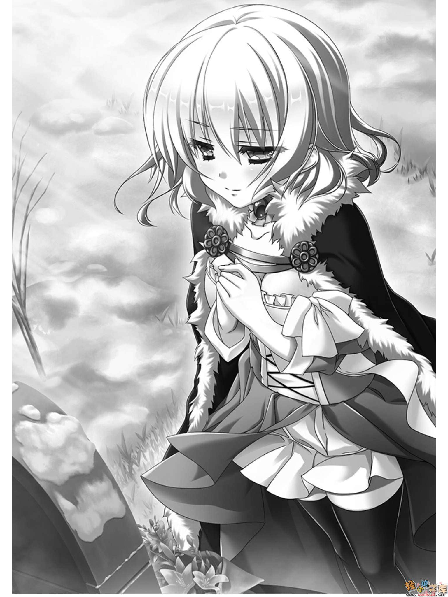 《魔弹之王与战姬》10 插图（8）