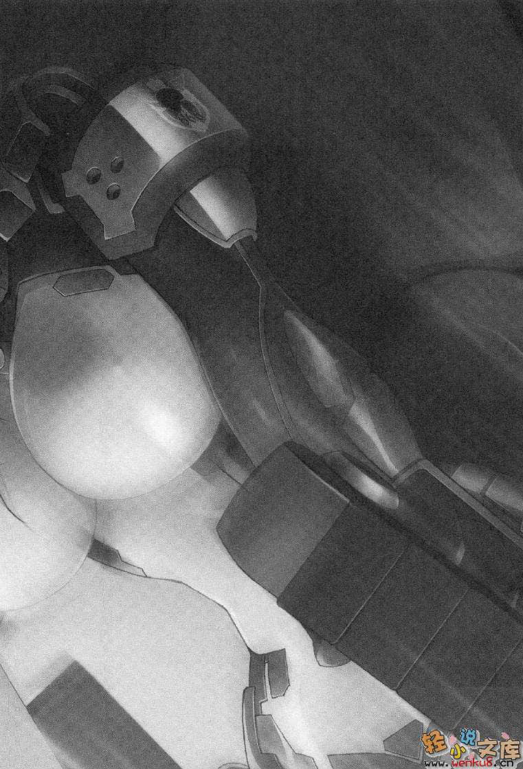 《MUV-LUV Schwarzes marken》2 插图（20）