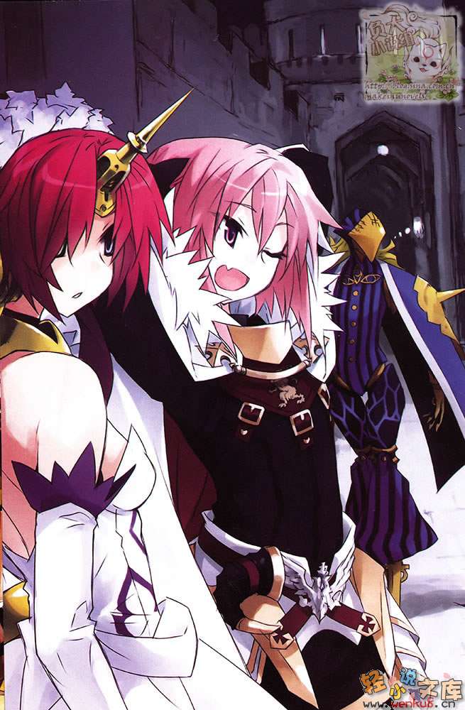 Fate Apocrypha小说插图（37）