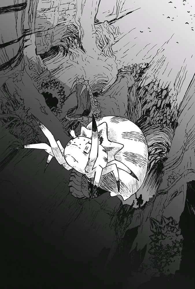 《转生成蜘蛛又怎样！》1 插图（10）