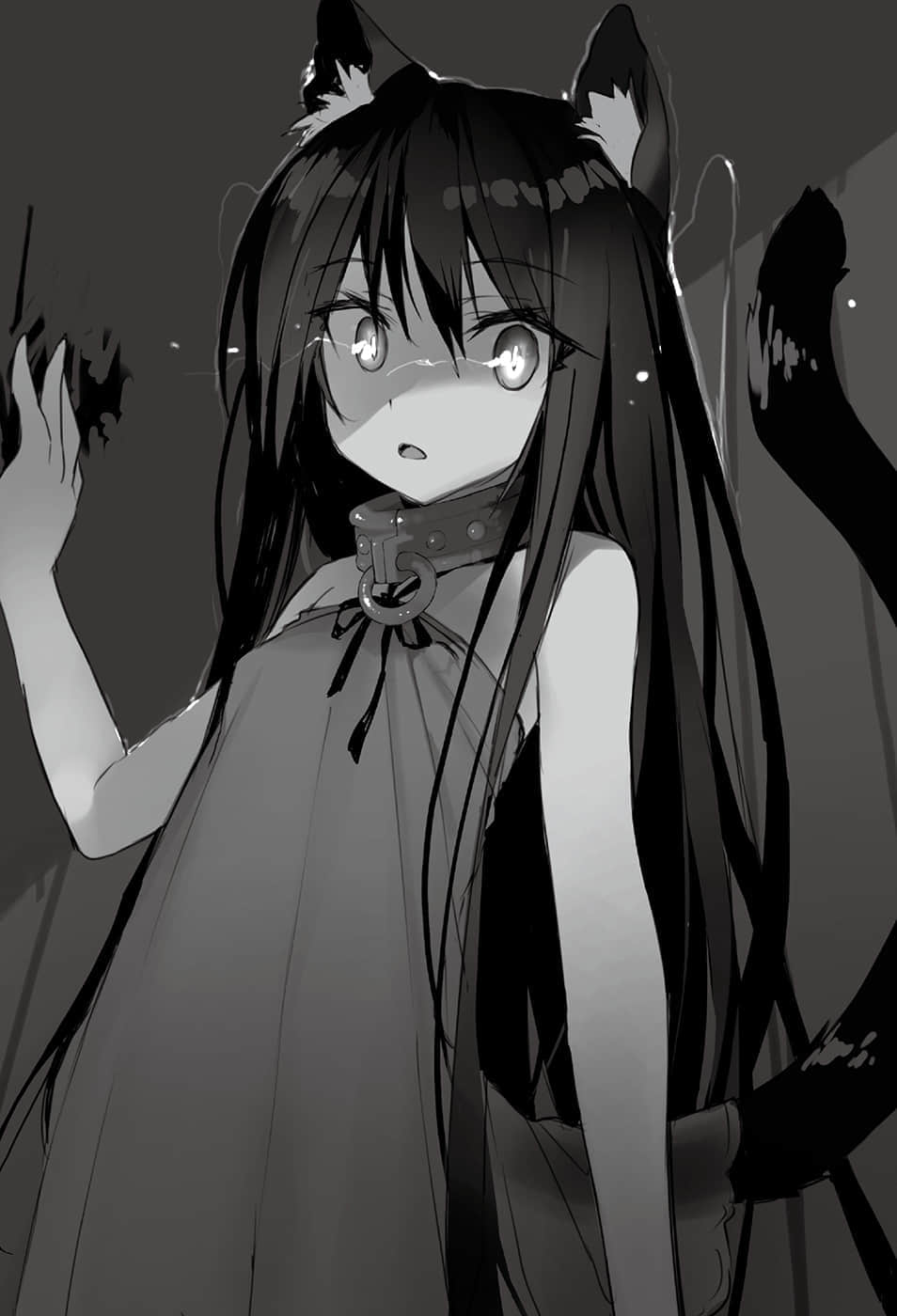《异世界魔王与召唤少女的奴隶魔术》8 第一章 尝试夜初插图(1)
