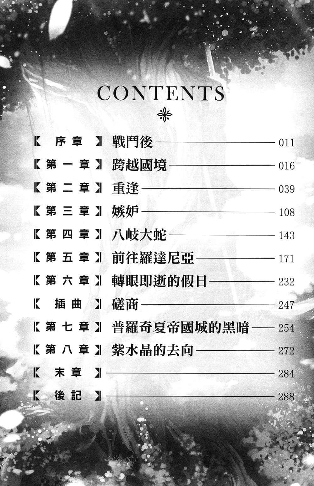 《精灵幻想记》13 成对的紫水晶 插图（5）