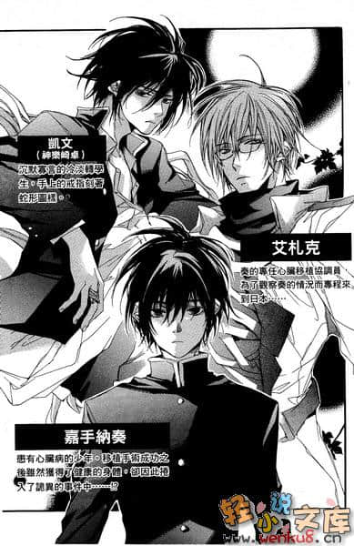 DAS SCHWARZE HERZ 黑色心脏小说插图（5）