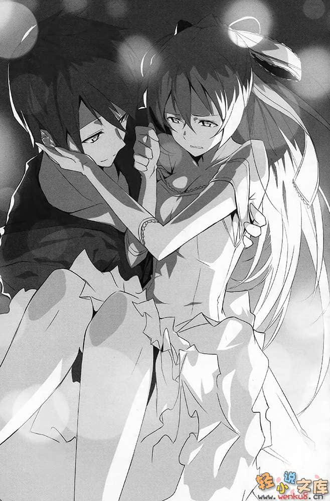 《钢音之剑》3 插图（12）