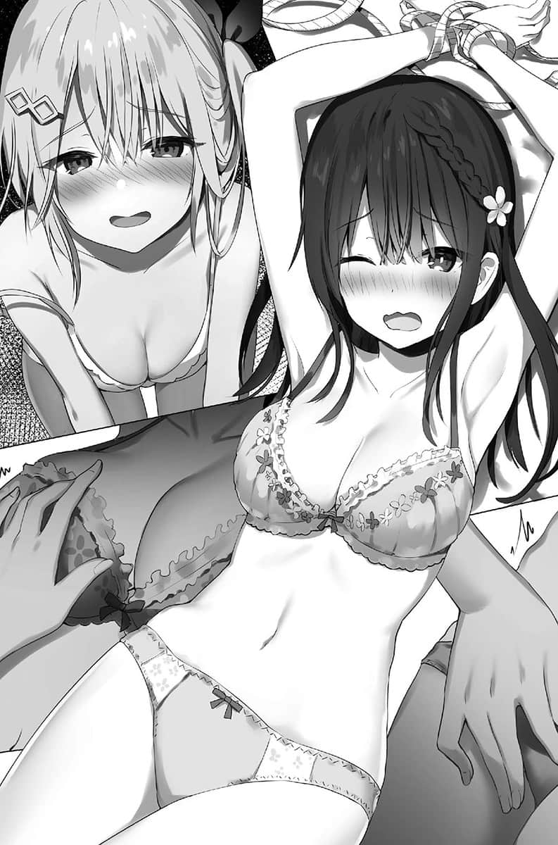 内衣女孩任你摆布小说插图（5）