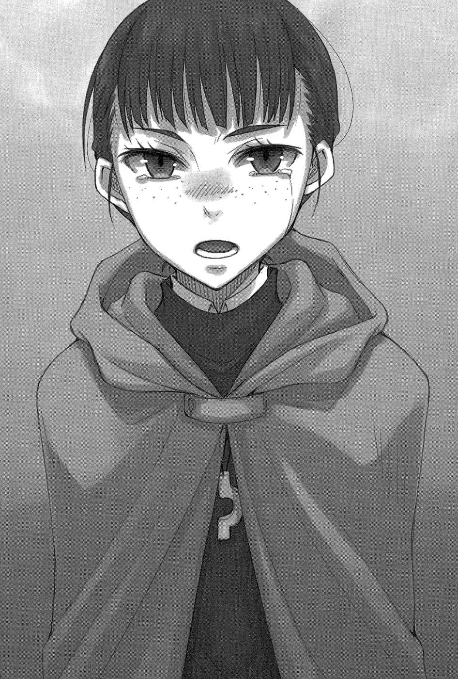 《狼与辛香料》14 插图（18）